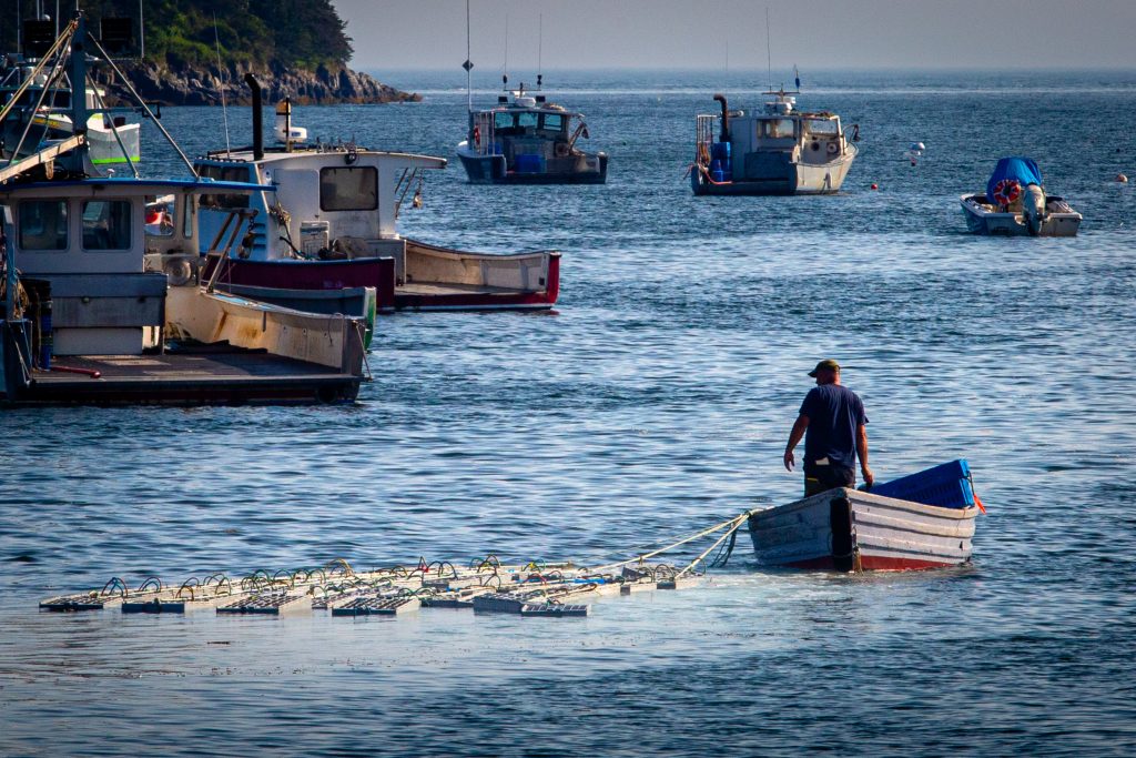 5 years after fatal shark attack, life on the water in Harpswell hasn't changed much - The Harpswell Anchor
